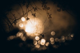 Il video musicale del mese: La Tortura della Luna di Zucchero Fornaciari, testo e significato