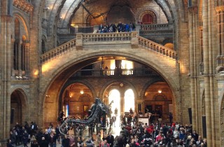 Viaggio a Londra con la famiglia: le 10 cose divertenti da fare con i bambini