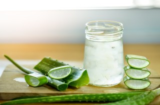 Aloe vera, le proprietà curative e come si assume per via interna