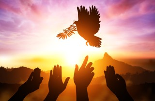 Giornata mondiale della pace, le frasi più belle da condividere