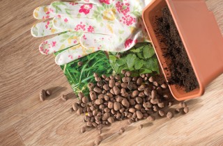 Argilla espansa, cos’è  e perché è utile per il giardinaggio