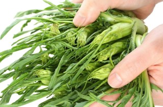 Come pulire la cicoria cimata, il video per delle puntarelle perfette