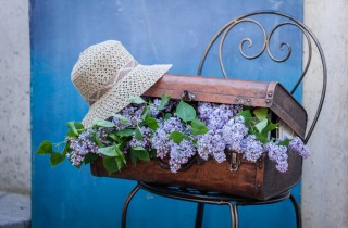 Valigia che puzza, 7 rimedi per dire addio al cattivo odore