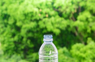 Innaffiare le piante con una bottiglia quando si va in vacanza: come fare in 3 step