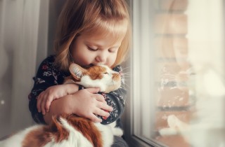 Gatti per bambini: le razze più giocose e affettuose