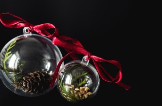 Palline di Natale trasparenti: come decorarle con le foglie per degli addobbi chic