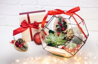Cosa regalare a Natale a chi ama il giardinaggio: 5 idee originali