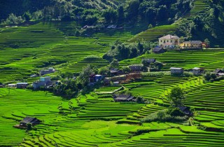 5 hotel ecosostenibili per viaggiatori dall’animo green