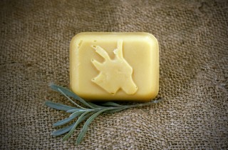 Sapone al latte di capra, perché fa bene alla pelle?