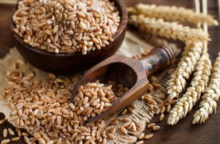 Come si cucina il farro perlato secco per le nostre ricette