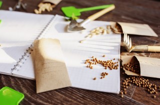 Quaderno giardinaggio fai da te: 9 cose da annotare e come decorare la copertina