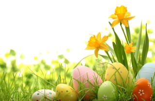 Frasi sulla Pasqua: 12 citazioni per gli auguri brevi e semplici da non perdere