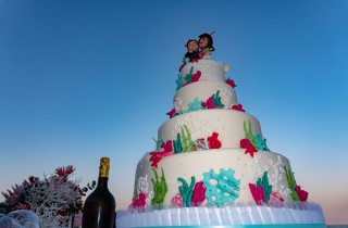 Torte matrimonio a tema mare: 11 decorazioni da non perdere