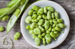 Come si cucinano le fave fresche
