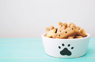 Biscotti per cani alla mela, la ricetta