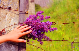 Giornata della memoria: 7 poesie per non dimenticare