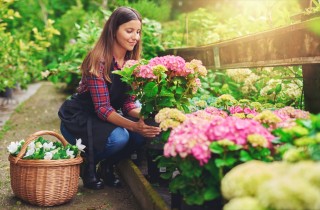 Festa della mamma: cosa regalare ad una patita di giardinaggio