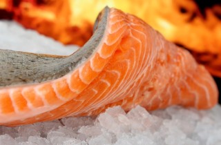 Quanto dura il pesce nel congelatore