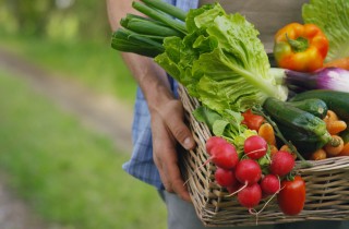 Come conservare le verdure