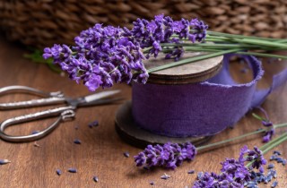 Bomboniere per matrimonio in stile provenzale: 5 idee originali