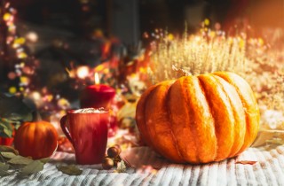 Vetrine autunnali: 7 idee a cui ispirarsi per le decorazioni