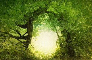 Lascia che tutto ti accada bellezza e terrore: la poesia di Rilke