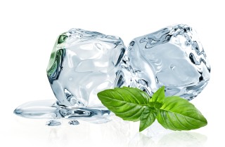 Come congelare il basilico