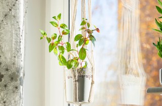 Vasi sospesi per piante fai da te: 7 idee per arredare