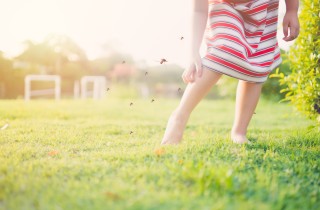 Perché è importante proteggersi dalle zanzare che causano febbre Chikungunya, Zika e West Nile