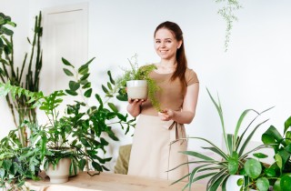 Come non far seccare le piante quando si parte per le vacanze: 8 trucchi