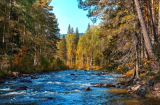 Frasi sui fiumi per sognare una vita ricca di energia e di avventure