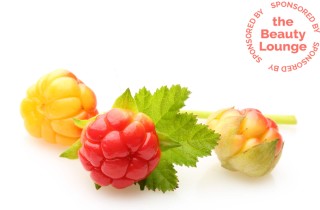 Curare la pelle secca con il Camemoro: tutti i benefici del lampone artico