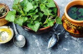 Infuso di ortica: a cosa serve questo rimedio naturale