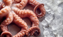 polpo congelato, come cucinarlo, metodi