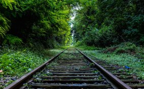 gite, giornata, primavera oasi parchi fuori porta