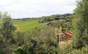 toscana sapori formaggi gita