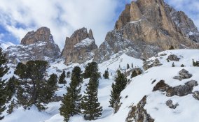 montagna-bosco-neve-inverno-vacanze
