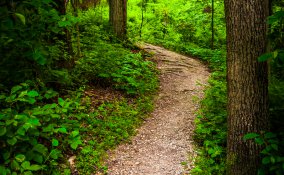 parco sentiero collina montagna