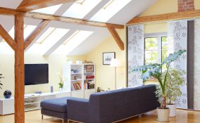 house sharing loft house-sitter