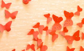 farfalle carta decorazione parete