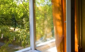 Liberati della muffa