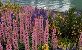 acongaua ande avventure nel mondo patagonia ushuaia