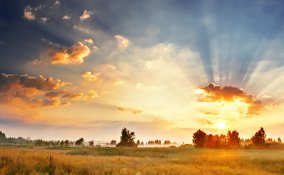 distesa, campo pianura