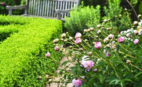 labirinto, confusione, caos, groviglio, perso, disperso, complicato, difficile, confuso sogno