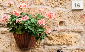 muro, parete, casa, barriera, ostacolo sogno