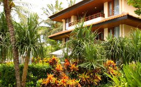 orto-tropicale-frutta