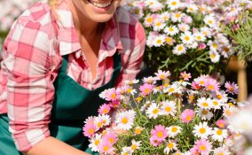 grembiule, decoupage, decoupage su tessuto, hobby, fai da te