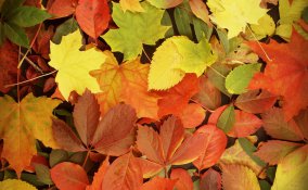 vacanze, settembre, week-end, soggiorni, suggerimenti, idee, viaggio, viaggi, destinazione, vacanza, arte, benessere, estero, donne, donna