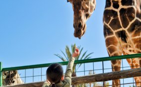 natura mete interessanti parchi verde viaggi tempo libero donne donna