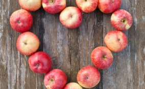 mela frutta  salute benessere italia